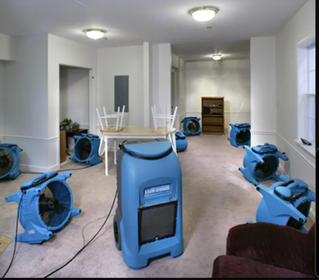 Air movers and dehumidifier setup for Water Extraction & Removal in Reedley