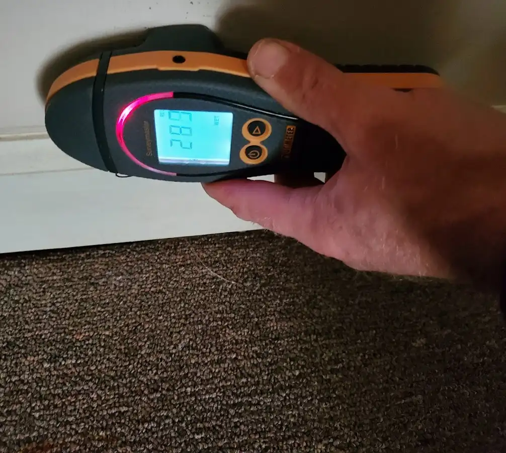 Moisture detection at baseboard during Mold Inspection & Testing in Reedley